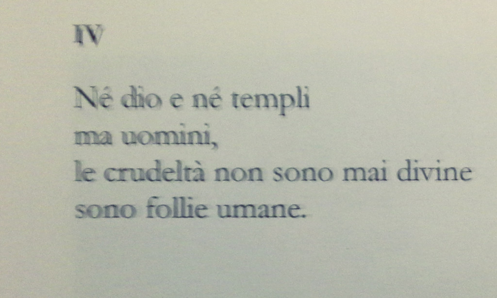 prosa poetica il manicomio della bella folla quella poco innamorata